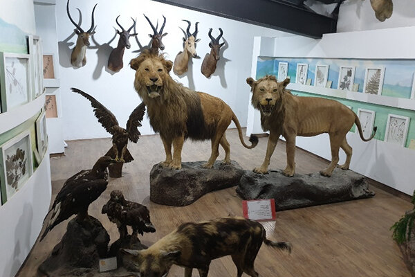 بازگشایی موزه دارآباد با آغاز سال نو و بهار طبیعت