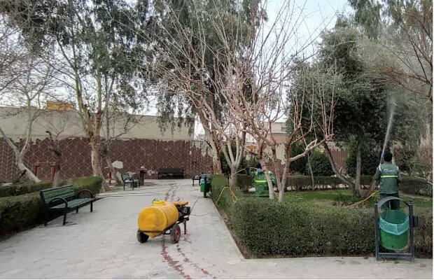 تکمیل پرونده‌های گیاه پزشکی درختان کهنسال در بخش مرکزی شهر تهران