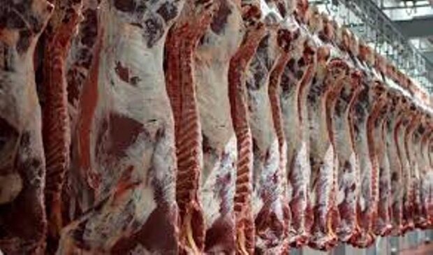 قیمت گوشت گوسفند در میادین پایتخت کاهش یافت