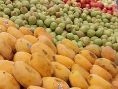 کاهش قیمت ۷ قلم میوه در میادین میوه و تره‌بار تهران