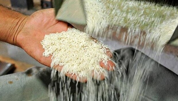 قیمت انواع برنج، ماهی و فرآورده‌ های کشاورزی در تره بار