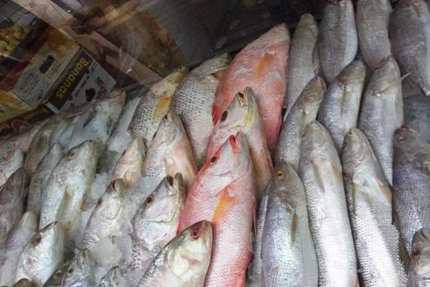 کاهش قیمت ماهی قزل‌آلا در میادین میوه و تره بار