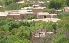 چرایی ابتلای کمتر روستاییان به آلزایمر