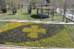 ماجرای ۸۶ قطعه فرش گل‌های بهاری در حاشیه بزرگراه‌های تهران