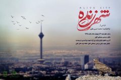 اکران رایگان فیلم مستند «شهر زنده» در منطقه ۱۹