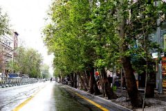 بلندترین خیابان خاورمیانه و پارک های منطقه ۳ از پسماند پاکسازی شد