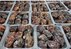 کاهش قیمت خرمای رطب در میادین میوه و تره‌بار