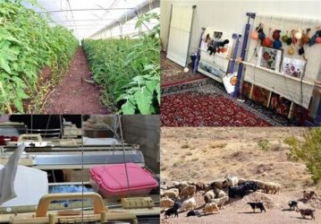 دهیاری‌های استان قزوین به پایگاه مهارت‌آموزی روستایی تبدیل می‌شوند