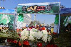 هفتم تا نهم آبان ، کهریزک پایتخت گل کلم ایران هفتم تا نهم آبان ، کهریزک پایتخت گل کلم ایران