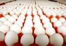 یک فاجعه بهداشتی در شهرستان ری خنثی شد