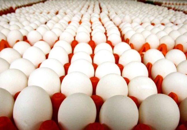 یک فاجعه بهداشتی در شهرستان ری خنثی شد