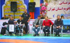 علی اکبر قنبری در ترکیب هیئت‌رئیسه کشتی ری قرار گرفت