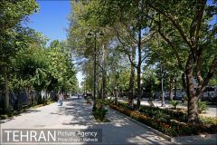 کمبود سیمان به اجرای پروژه‌های عمرانی ضربه زد