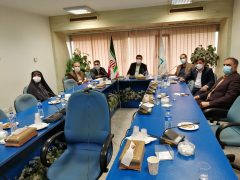 چهل و پنجمین نشست ملی مدیران کل دفاتر امور روستایی و شوراهای استانداری ها تشکیل شد