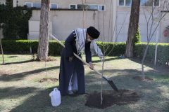 رهبر انقلاب اسلامی: تخریب جنگلها و محیط زیست و پوشش‌های گیاهی تخریب منافع ملی است