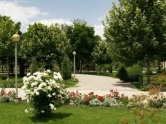 بررسی وضعیت فضای سبز و زیباسازی در منطقه ۱۸