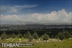 انجام ۱۲۵۰ هکتار جنگل‌کاری پیرامون پایتخت طی ۷ پروژه در نیمه دوم ۱۴۰۰