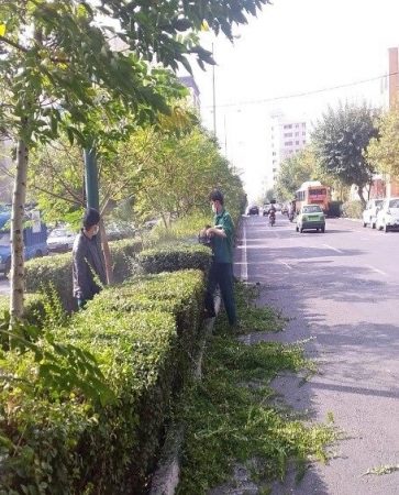 ساماندهی معابر و المان‌های شهری در منطقه ۴