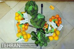 مبالغ به حساب خزانه واریز شده است/ برگزاری نمایشگاه ارگانیک در دستور کار