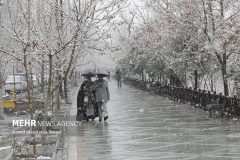بارش برف در تهران